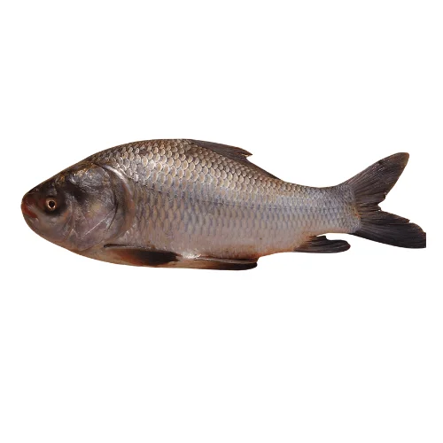 Premium Seafood - Order Now